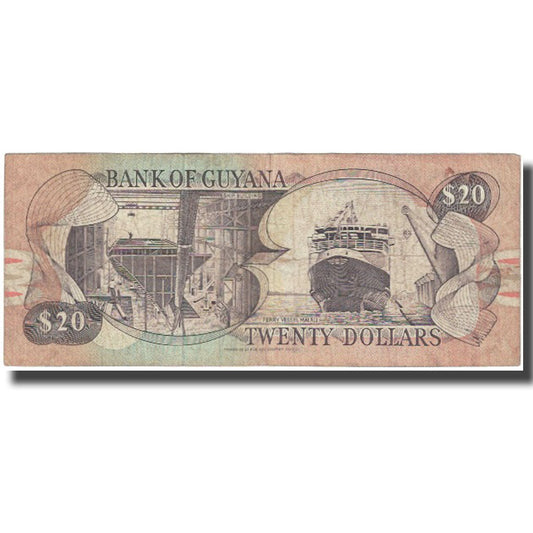bankovka,
Guyana,
20 dolárov