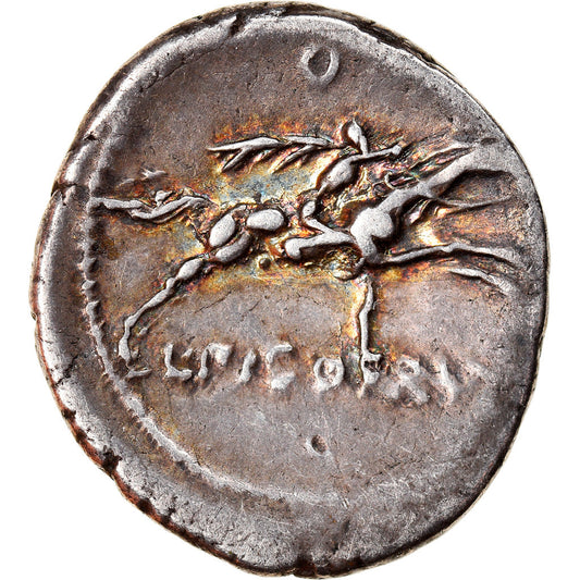 minca,
calpurnia,
dinár