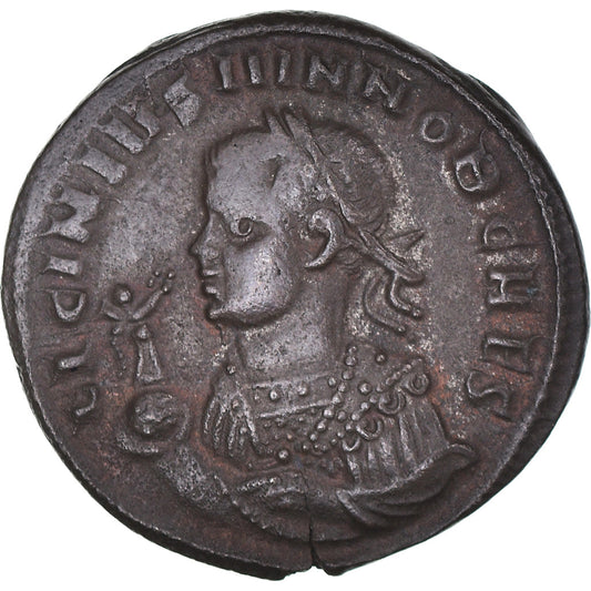 minca, 
  
  Licinius II. 
  
  Follis