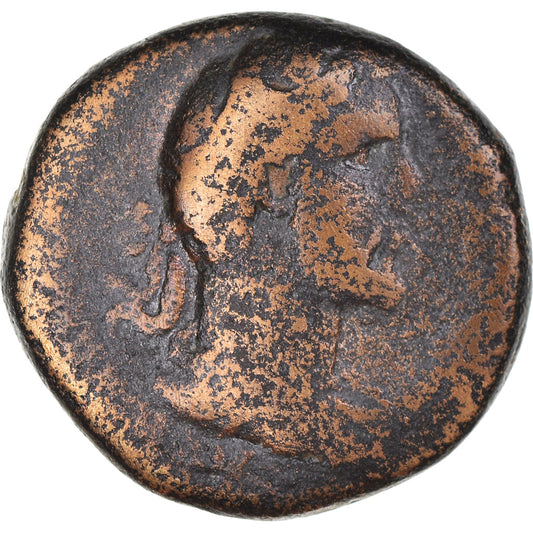 minca, 
  
  Seleucus a Pieria, 
  
  Antoninus Pius