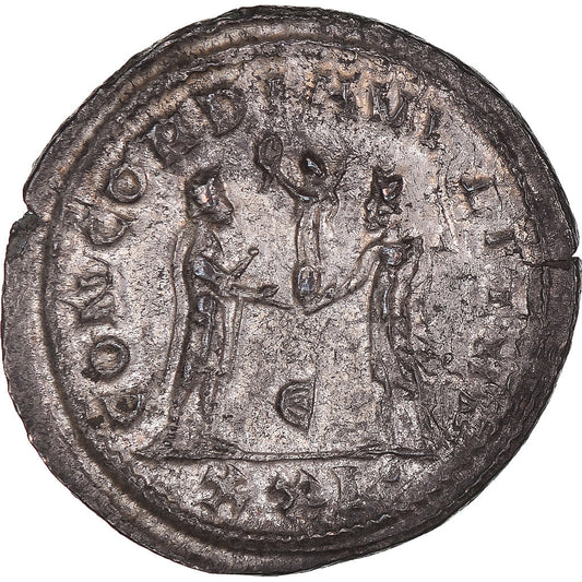 minca,
 
 Maximianos Heraklis,
 
 Antoninian