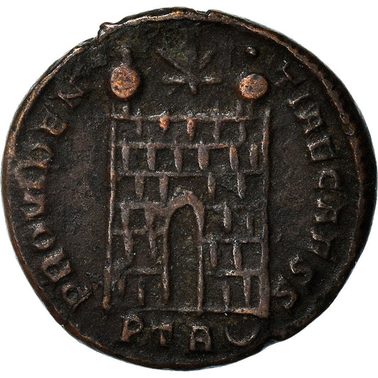 minca, 
  
  crispus, 
  
  Follis