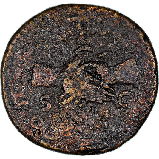 Moneta,
 
 nerv,
 
 Dupondius