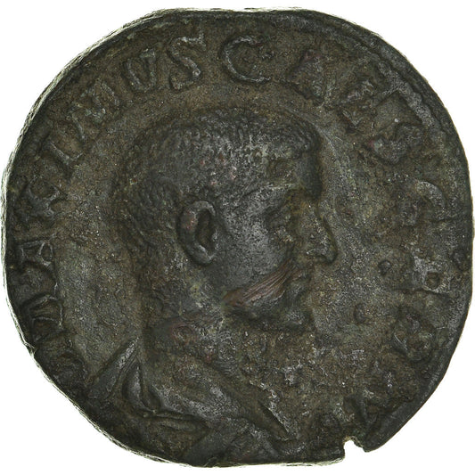 minca,
 
 Maximus,
 
 Sestertius