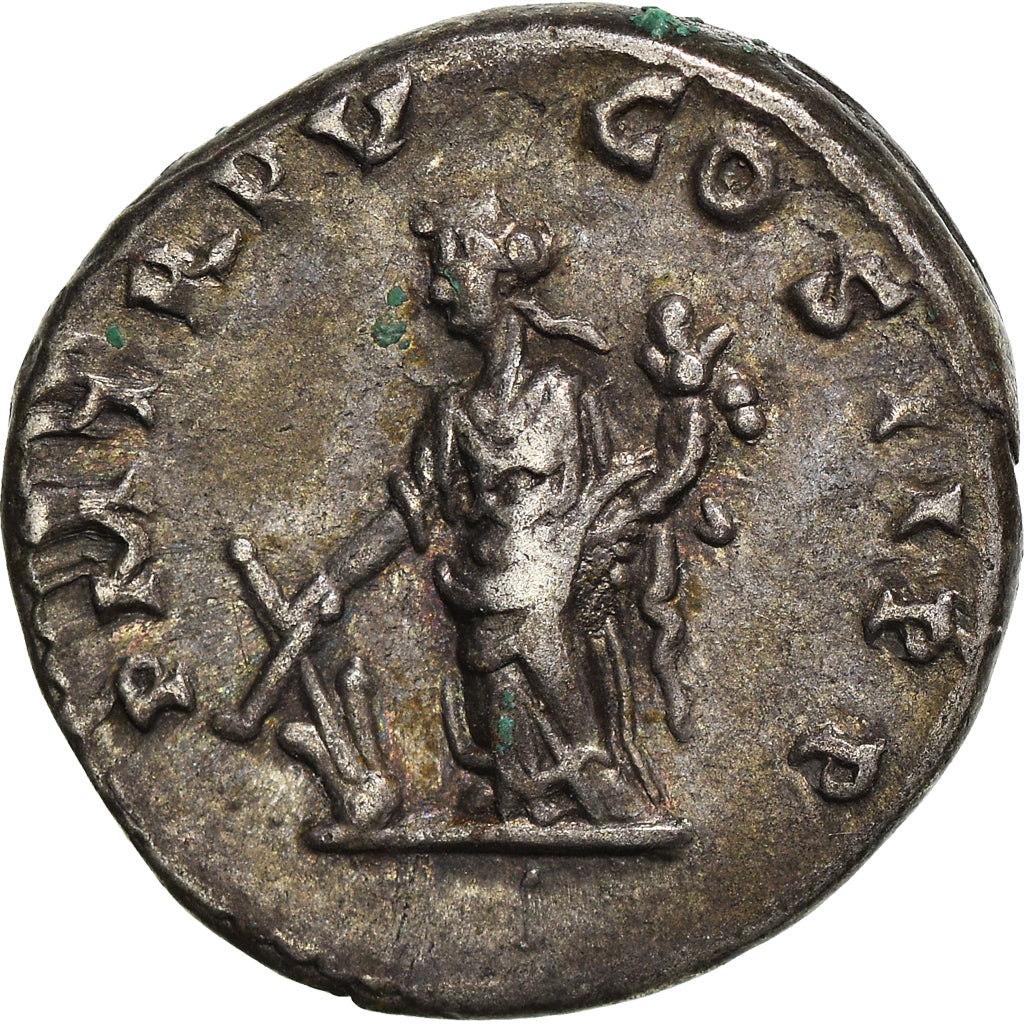 minca,
 
 Septimius Severus,
 
 dinár